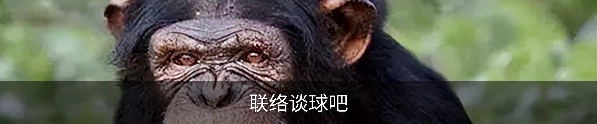 联络谈球吧