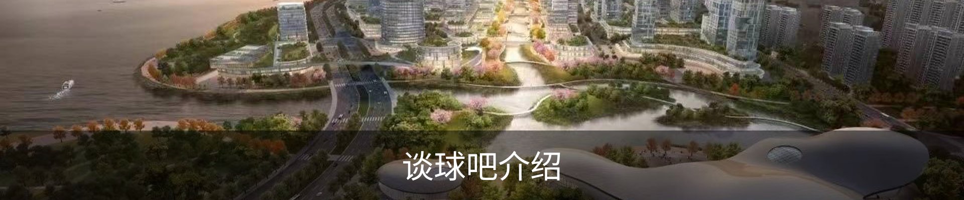 谈球吧介绍